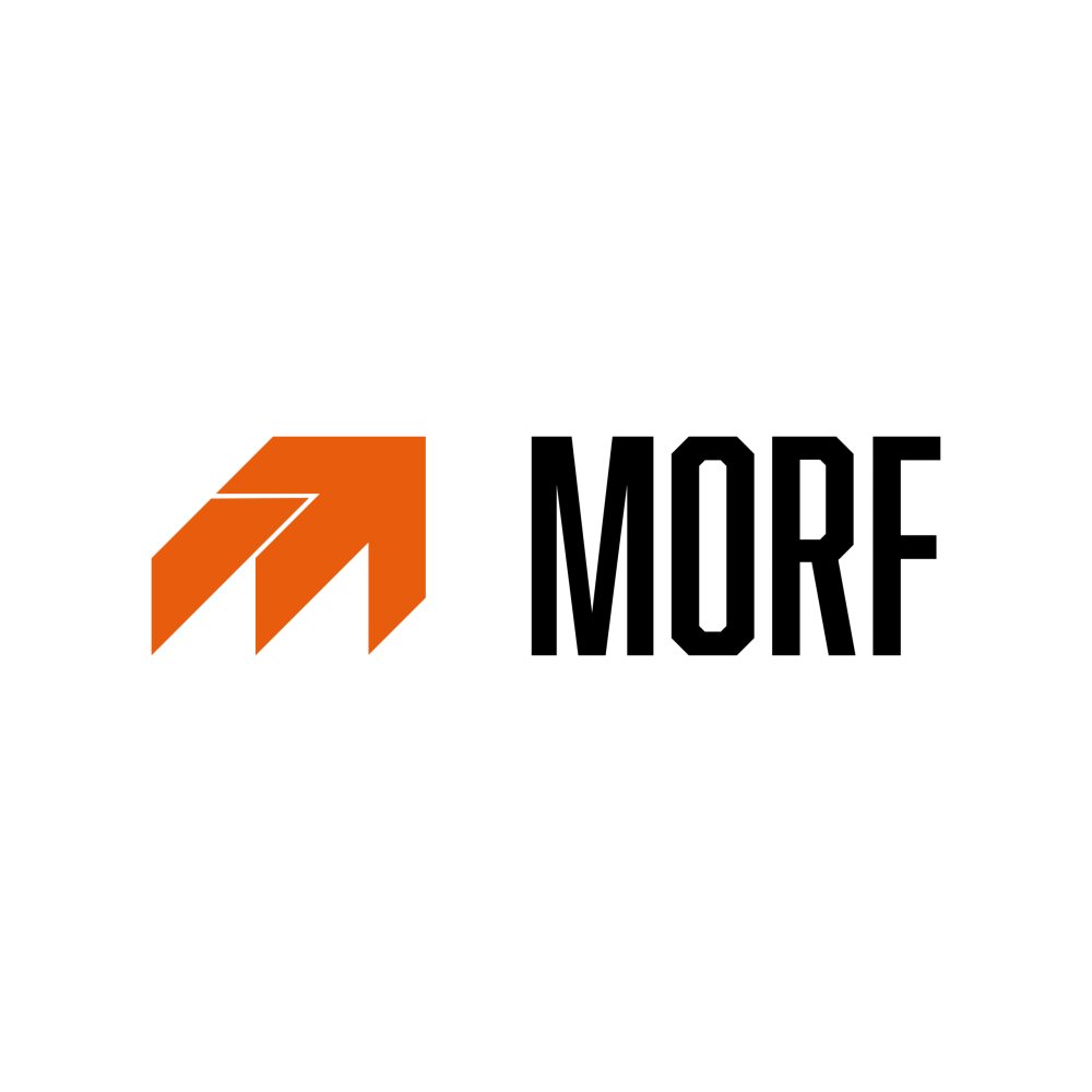 MORF LOGISTICS LOGO KRZYWE
